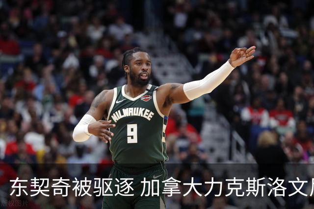 东契奇被驱逐 加拿大力克斯洛文尼亚晋级四强