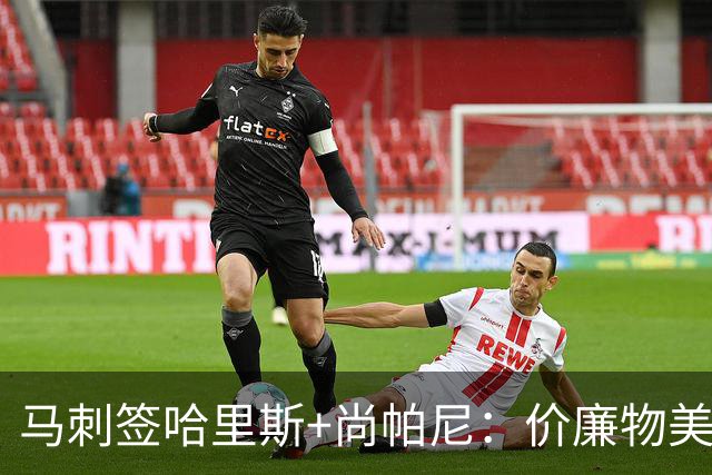 马刺签哈里斯+尚帕尼：价廉物美
